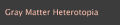 Gray Matter Heterotopia